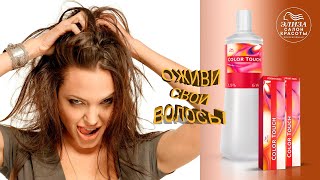 Тонирование волос Wella COLOR TOUCH [upl. by Maram286]