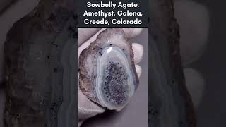 A Neat Sowbelly Agate Specimen That Was Very Well Hidden minerals science geology crystals [upl. by Tutt]