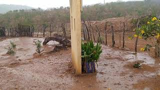 A CHUVA CHEGOU PRA REFRESCAR O CALOR DO SERTÃO [upl. by Amber]