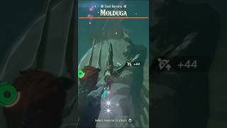 INSANELY Quick Molduga Fight music gaming gameplay beats totk zelda [upl. by Ayerdna]