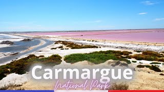 One Day in the Camargue  Flamingos Horses and Black Bulls  Arles Gard South of France [upl. by Trilbie]