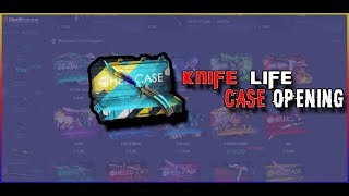 Hellcase Knife Life case opening [upl. by Gregorius948]