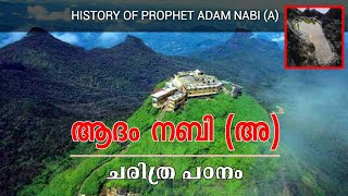 ആദം നബി അ ചരിത്രം ജനനം മുതൽ മരണം വരെ History of prophet Adam Nabi A [upl. by Leuamme875]