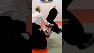 Aikido in slow motion KOKYU NAGE by Stefan Stenudd [upl. by Algie5]