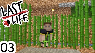 Minecraft Last Life SMP  Ep 03  THE GREAT SUGARCANE HEIST [upl. by Rosane]