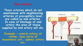 End arteries functional end arteries [upl. by Kokaras437]