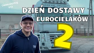 Dzień Dostawy  CielakowyVlog 13 [upl. by Amzaj]