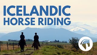 Horseback Riding IN ICELAND Equestrian Paradise [upl. by Krenek222]