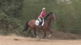 How To Position Your Horse To A Gallop [upl. by Alli]