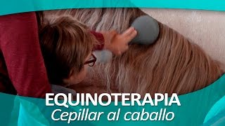 EQUINOTERAPIA 3  Cepillar al caballo [upl. by Nileuqaj417]