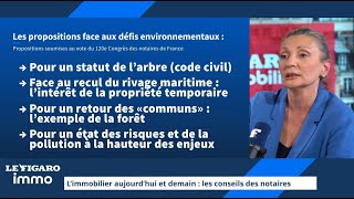 Proposition dun statut de larbre dans le Code civil [upl. by Izawa]