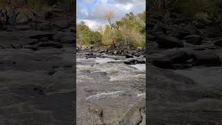 Flat Rock falls at full capacity after atmosphericriver santarosa sonomacounty [upl. by Seen]