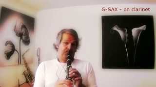 GSAX on Clarinet  solo freestyle improvisation [upl. by Yelloh]