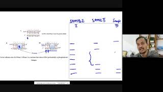 Genetic Engineering or Recombinant DNA Technology or Gene Manipulation [upl. by Mace]