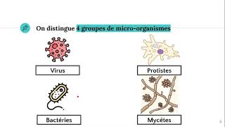 Les microorganismes 🦠 [upl. by Aninotna]