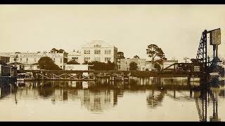 Bob Dylan Watching The River Flow Fort Lauderdale March 1 20240 PSBA STEREO MATRIX SERIES [upl. by Enerahs]