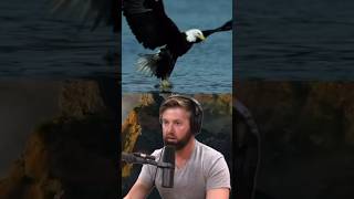 The Dark Secret of Channel Islands Revealed 🏝️  Joe Rogan wildlife [upl. by Moorefield493]