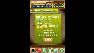 パズドラ「聖闘士星矢 コラボ」コラボガチャ 51連 [upl. by Sidras]