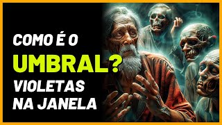 Como é o Umbral  Segundo os espíritos da obra Violetas na Janela [upl. by Ailgna]