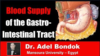 Blood Supply of the Gastrointestinal Tract Dr Adel Bondok [upl. by Garaway]