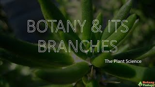 Branches of Botany  Botanical Science Sub branches [upl. by Tzong]