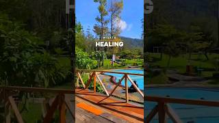 Daftar Wahana Wisata Healing di Ranca Upas Bandung [upl. by Kemeny]