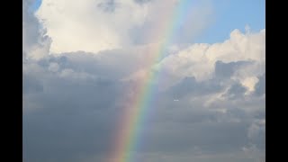 RegenboogMizzemos liedje over een regenboogUit luisterverhaal Rinkel en Saar naar de regenboog [upl. by Sender228]