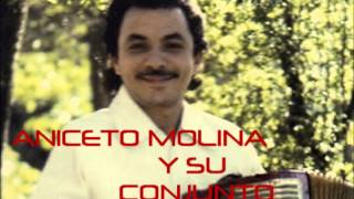 TRAIDORA MUJER  ANICETO MOLINA Y SU CONJUNTO [upl. by Sorac]