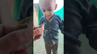 Pillu Ne Chimani pakadLi 🐦🐦🐦🐤🐤🐤🦜🦜🦜cutebaby 🙏🙏please subscribe🙏🙏 [upl. by Reddin]