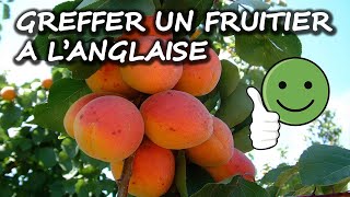 Comment greffer un arbre fruitier à langlaise [upl. by Ayerf542]