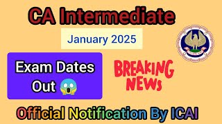 CA Inter Jan 2025 Exam Datesheet Released ll ICAI Official Notification [upl. by Aelak107]