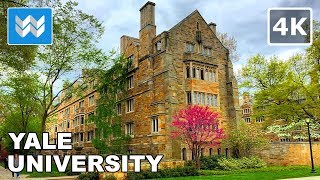 4K Yale University in New Haven Connecticut USA  Campus Virtual Walking Tour [upl. by Babby]