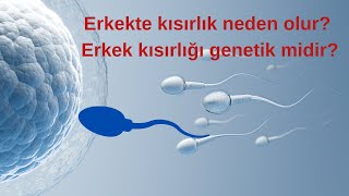 Erkeklerde Kısırlık Nasıl Anlaşılır   Testi Nasıl Yapılır  Genetik Mi  Prof Dr Murad Başar [upl. by Harhay]