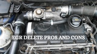 EGR Delete Explained  9 Major Pros And Cons [upl. by Trevor281]