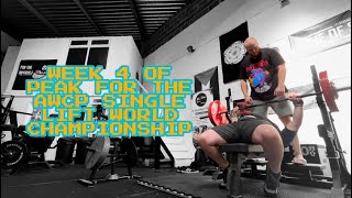 Week 4 of peak for the 2024 AWPC single lift world championships [upl. by Clower]