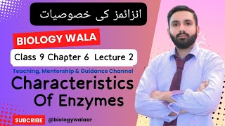 Class 9  Chapter 6  Lecture 2 Topic Characteristics of Enzymes  Abdur Rehman [upl. by Aivatco]