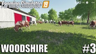 The Cows Are Here  Woodshire Timelapse 3  Farming Simulator 19 Timelapse [upl. by Lletnahc]