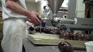 Bossche Bollen van Jan de Groot [upl. by Cristie]