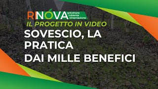 Sovescio la pratica dai mille benefici [upl. by Resiak]