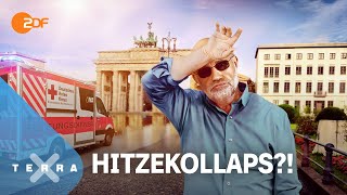 Wie heiß ist zu heiß  Leschs Kosmos Ganze TVFolge  Harald Lesch [upl. by Yornek407]