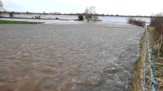 Somerset floods Athelney spillway to Northmoor A361 [upl. by Mutat]