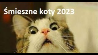 Śmieszne Koty 2023 Spróbuj się nie zaśmiać [upl. by Ralyt]