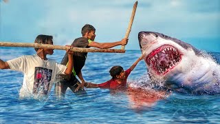 Shark Attack Boy  Shark Attack Boy Fun Made Movie Great White Shark Attack Part 1 [upl. by Hameean962]