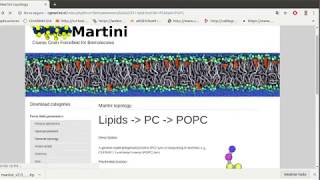 3 PeptideMembrane in Coarse Grained MD Silumation imput scripts [upl. by Billen]