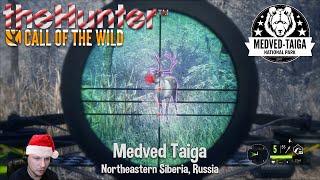 Holiday Reindeer Challenge  theHunter Call of the Wild  Medved Taiga w wayofthepixel [upl. by Amity]