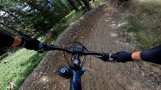 Brixen Bikepark Plose Jerry Line green [upl. by Aissirac366]