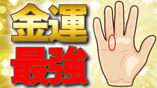 【必見】あなたは何個当てはまる？金運が上がる手相のすべて [upl. by Elrak]