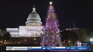 Monongahela National Forest to provide US Capitols Christmas tree [upl. by Nnaharas]