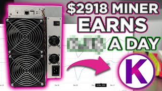 Heres How Much a 2918 Miner Earns Per Day [upl. by Brandon]