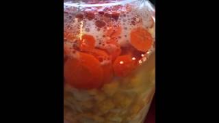 Fermented Romanesco and Orange Cauliflower [upl. by Maples163]